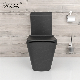 Matte Black Watermark Toilet Two Piece Twyford Toilet Sanitary Ware