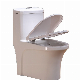 Sairi Sanitary Wares One Piece Toilet with Sink China Supplier Wholesalers Bathroom Water Closet