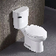 Two Piece Toilet Bathroom Washdown Toilet Ceramic Sanitaryware Toilet