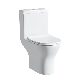  Sairi Sanitary Ware Ceramic Wc Washdown P-Trap Toilet Closestool
