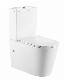 Modern Bathroom Furniture Ceramic Sanitary Ware Two Piece Standing Floor Toilet