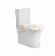 Luxury Modern Bathroom Ceramic Sanitaryware Suppliers with Seat Covers Wc Brand Toilet Bowl Two Piece Toilet Seats manufacturer