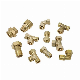 Copper Brass Male Female Prices for PVC Pipe Tube Air Compression Quick Push Press Ferrule Elbow Tee Nipple Connector Fittings