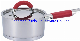  Kitchen Ware of 2PCS Stainless Steel Saucepan in Silicon Handle