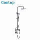 Sanitary Ware Bathroom Accessories Shower Tap Shower Faucet/Shower Head/Shower