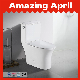 CE China Wholesale Hot Selling Sanitary Ware Bathroom Dual Flush Two-Piece Wc Ceramic Toilet