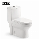 Floor Mounted Toilet Ceramic Bathroom Sanitaryware Washdown Wc Toilet