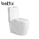 Best Wc Brand Dual Flushing System Fashion Bathroom Sanitary Wares with Seat Covers Water Closet Toilet (PL-3806) manufacturer