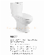 Sanitary Ware Watermark Bathroom Ceramic 2 Two Piece Wc Set Toilet Water Closet manufacturer