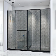 Hinge Shower Cabin Double Two Glass Door with Towel Handle Size Customized