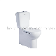 Ceramic Wc Two Piece Bathroom Toilet P-Trap for Adult Sanitary Ware manufacturer