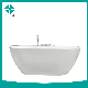 Irregular Shape Glass Acrylic Freestanding Hot Swim SPA Bathtub