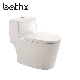  Washdown Flushing Floor Mounted Porcelain Ceramic One Piece Wc Sanitary Ware (PL-5939)