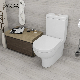 Australian Standard Two Piece Ceramic Rimless Toilet Sanitary Ware