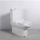  European Design Washdown Sanitary Ware Cheap P-Trap Two Piece Toilet