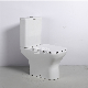 Square Design Sanitary Ware Washdown Ceramic Two Piece Toilet Set manufacturer