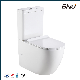 Back to Wall Toilet Suites Chaozhou Binli Factory Ceramic Bathroom Toilet Sets Watermark Bathroom Toilet Sanitary Ware