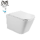 Ovs Sanitary Ware Commode Rimless Ceramic One Piece Rimless Beige Wall Hung Toilet Bowl with Concealed Cistern High manufacturer