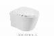 Popular Wall Hung Toilet Ceramic Bathroom Toilet White Wall Mounted Wc Toilet Sanitary Ware manufacturer