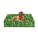 Green Artificial Carpet Simulated Grass Turf Thick Pet Lawn Dog Toilet