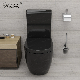  Black Watermark Toilet Ceramic Two Piece Toilet Sanitary Ware