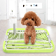  Training Pads Toilet for Puppies and Small Pets Square