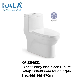 Toilet Seat Excess Eddy Siphonic One Piece Sanitary Wares