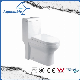 Siphonic One-Piece Dual Plush Ceramic Toilet (ACT9322)