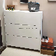  Living Room Hallway Modern Furniture Shoe Cabinet Storage Cabinet