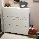 Living Room Hallway Modern Furniture Shoe Cabinet Storage Cabinet