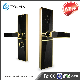 China Digital Magnetic Safe Door Lock Mechanism System manufacturer