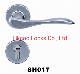 Wholesale S/ Steel 304 Heavy Duty Solid Casting Lever Handle (SH017)