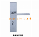 Factory Price Casting Door Handle with Plate (LSH010)