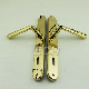 Aulic Gold Brass Door Handle for Room (CS007)