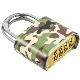  Hot Sale Fresh Order 4 Digital Word Padlock Combination 50mm Lock