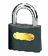 High Security Full Brass Cylinder Grey Iron Padlock (001)