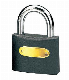  High Security Full Brass Cylinder Grey Iron Padlock (001)