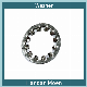 High Quality Zinc Plated Internal Tooth Lock Washer DIN6797 Flat Washer