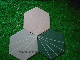  Garden Decoration Hexagon Polar Ray Porcelain Wall&Floor Tile (200*230mm)