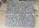 Chinese Grey Stone New G654 Granite Floor & Paving Stone