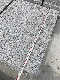 China Cheap Granite Tile G383 Pearl Flower Slab Countertop Floor for Project