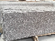 Chinese Good Quality Old G664 Granite Tile Slabs