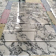 Arabescato White Marble, Marble Tiles and Marble Slabs