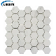 New Design Wall Decoration White Blend Hexagon Marble Mosaic Tile