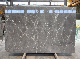  Wholesale Honed Wall/Floor Tile Surface Grey Mocha Marble for Home Decoration Marmol