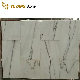 Best Selling Carrara White Marble Rectangle/Rhombus/Mosaic/Tiles for House Kitchen/Bathroom