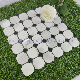  White Carrara Mix Black Wall Decoration Marble Mosaic