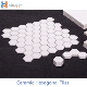 Wear Resistant Hexagonal High Alumina Ceramic Mosaic
